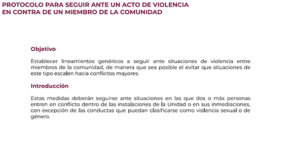 Protocolo Acto Violencia